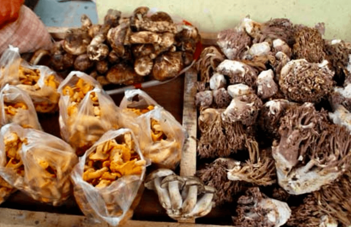 msuhroom1